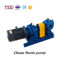 Electric roots vacuum pump